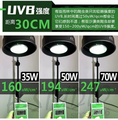 35 W de lumière UVB pour reptiles PAR E27 Lampes cachées en aluminium 6000K Alerte à la lumière du jour pour terrarium