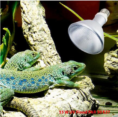 Lampes UVB HID en aluminium Série 64/95/121mm Diamètre 93/118/138mm Longueur 4000k-10000k Température de couleur