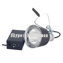 35w 50w 70w Lumière de reptile en aluminium de catégorie A pour lampe HID PAR30